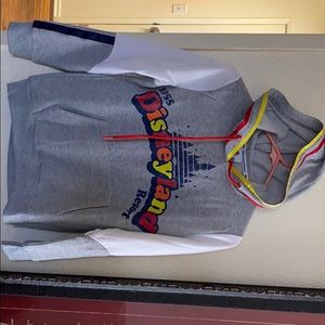 Disney parks hoodie